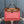 HM HERBAG ZIP 31 CORAL AND COPPER CANVAS