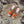 Rockstud Crisscross Espadrilles 80mm Sandal Wedges Orange