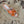 Rockstud Crisscross Espadrilles 80mm Sandal Wedges Orange