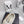 CC 26s Oxford Shoes 4cm Pearl Leather 162951