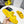 cd dioract dad sandal mule yellow lambskin