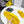cd dioract dad sandal mule yellow lambskin