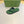 GG x Adidas Men's Thong Sandals Green Canvas 558903