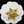 Versace Brooch Gold 176783