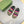 GG Men's Web Sandals Brown Canvas 558896