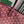 CHIEN GRIS BAG 33 IN WINE RED GOYARDINE CANVAS AND CALFSKIN TRIM