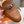 0Z MULE CARAMEL CALFSKIN WITH PATTERN