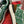 Lace And Mesh Lacerunner Sneaker In Green White Mix Earth Brown 994623