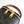 MINI VANITY CASE TRIOMPHE CANVAS AND CAFLSKIN TAN