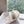 CD 25 Flat Slippers White Gray Wool 395564