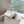CD 25 Flat Slippers White Black Wool 395565