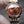 Omega De Ville 27.4mm Chocolate Dial