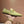 GG Men's Jordaan Loafer Light Green Cowhide 726293