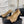 Scarpe con tacco alto CC 65mm Beige con catena a farfalla in pelle di agnello