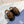CD TIMELESS OXFORD OMBRE CARAMEL EMBOSSED CALFSKIN