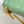 LARGE CARO BAG 28 LIGHT GREEN CALFSKIN