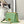 LARGE CARO BAG 28 LIGHT GREEN CALFSKIN
