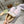 GG Snow Boots White Pink Calfskin Wool 576241