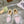 GG Snow Boots White Pink Calfskin Wool 576241