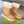 Gucci 2025 Boot Brown Beige Wool Nylon Calfskin 564680