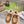 Bottes d'hiver GG Veau verni marron Laine 576237