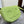 FOLCO CUIR TRIOMPHE 18 IN INCHWORM GREEN CALFSKIN