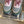 CC Sneaker In Multicolor Suede 145635