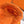 chypre sandal orange lamb wool