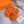 chypre sandal orange lamb wool