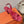 SLINGBACK SANDAL ETERNITE 105 BRIGHT PINK LAMBSKIN