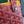 MONTMARTRE GM CASE 18 IN CLASSIC RED GOYARDINE CANVAS