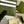 MARMONT BIFOLD WALLET 11 IN ARMY GREEN LAMBSKIN