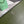MARMONT POUCH 30 IN ARMY GREEN LAMBSKIN