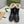 Gucci 2025 Boot Black Beige Sheepskin Wool 564789