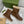 Gucci 2025 Boot Brown Beige Sheepskin Wool 564790