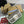 BORSA GG HORSEBIT 1955 24 IN TELA BEIGE E PELLE DI VITELLO BIANCA