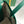 BELLECHASSE BIAUDE PM BAG 36 IN GREEN GOYARDINE CANVAS AND CALFSKIN TRIM