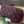 MEDIUM 28 CASSETTE CHOCOLATE BROWN LAMBSKIN