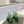 SANDALI SL TRIBUTE CRYSTAL IN PELLE DI VITELLO VERDE SCURO