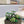 SANDALI SL TRIBUTE CRYSTAL IN PELLE DI VITELLO VERDE SCURO