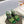 SANDALI SL TRIBUTE CRYSTAL IN PELLE DI VITELLO VERDE SCURO