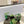 SANDALI SL TRIBUTE CRYSTAL IN PELLE DI VITELLO VERDE SCURO