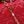 my cd mini 21 red lambskin