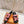 CHYPRE SANDAL BLACK AND BRIGHT PINK LAMBSKIN