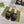 GG SPARKLE CRYSTAL SLIDE SANDAL BLACK CALFSKIN