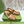 GG x Adidas Men's Loafer Light Brown Canvas Cowhide 724881