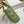 medium lady d-joy 26 green lambskin