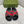GG Striped Rubber Slides Black Red Green Rubber 788223
