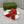 GG Striped Rubber Slides White Red Rubber 788222
