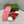 GG Striped Rubber Slides White Red Rubber 788222